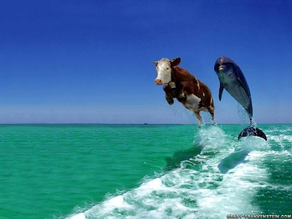 anything-is-possible