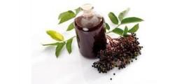Effects of Elderberry during Flu Season