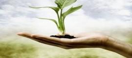 Planting The Seeds and Watching The Fruits Of Our Labour