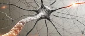 Living with Sensory Processing Disorder