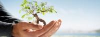 personal-growth-and-development