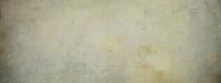 The Canvas Of Life