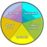 The Components of a Healthy Lifestyle