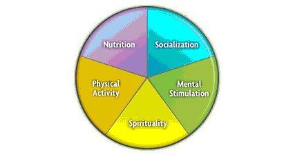 The Components of a Healthy lifestyle