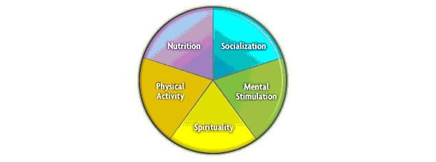 The Components of a Healthy lifestyle