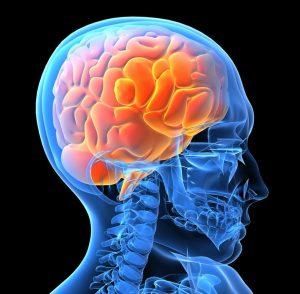 Programme your Mind