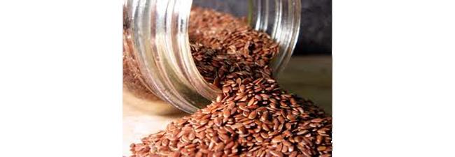 The Many Benefits of Flaxseed