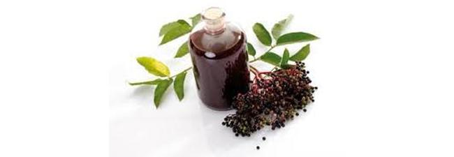 Effects of Elderberry during Flu Season