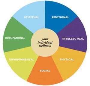 20100427232317_Health_WellnessWheel