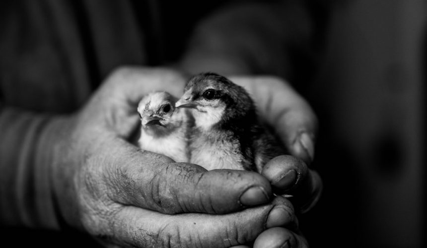Illness Reminds Us How Fragile Life Is Illness Reminds Us How Fragile Life Is