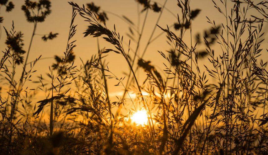The Importance Of A Regular Daily Routine After Illness The Importance Of A Regular Daily Routine After Illness