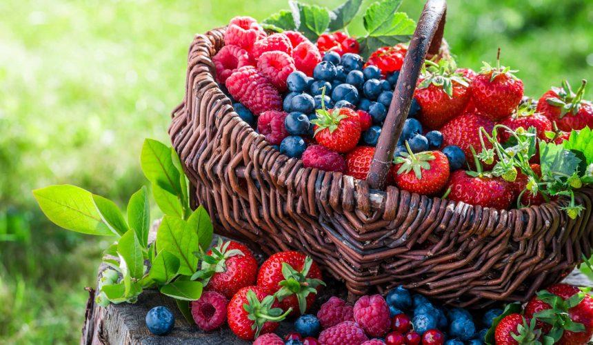 10 Essential Rules of Healthy Living 10 Essential Rules of Healthy Living