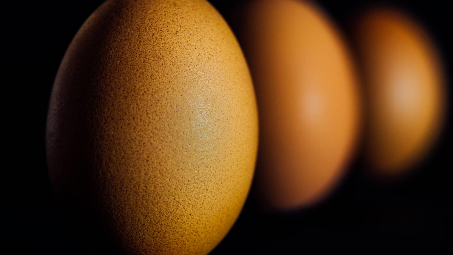 Eggs