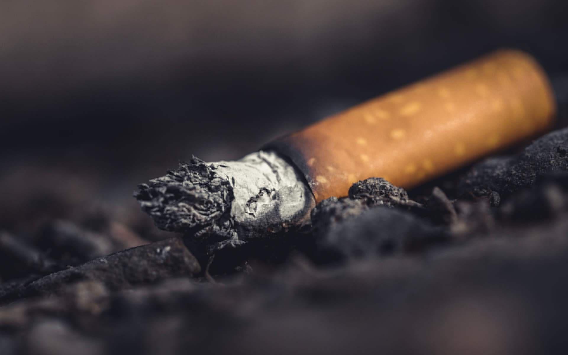 Cigarette Butt