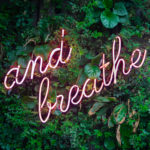 Neon Sign Saying And Breath In A Garden Hedge