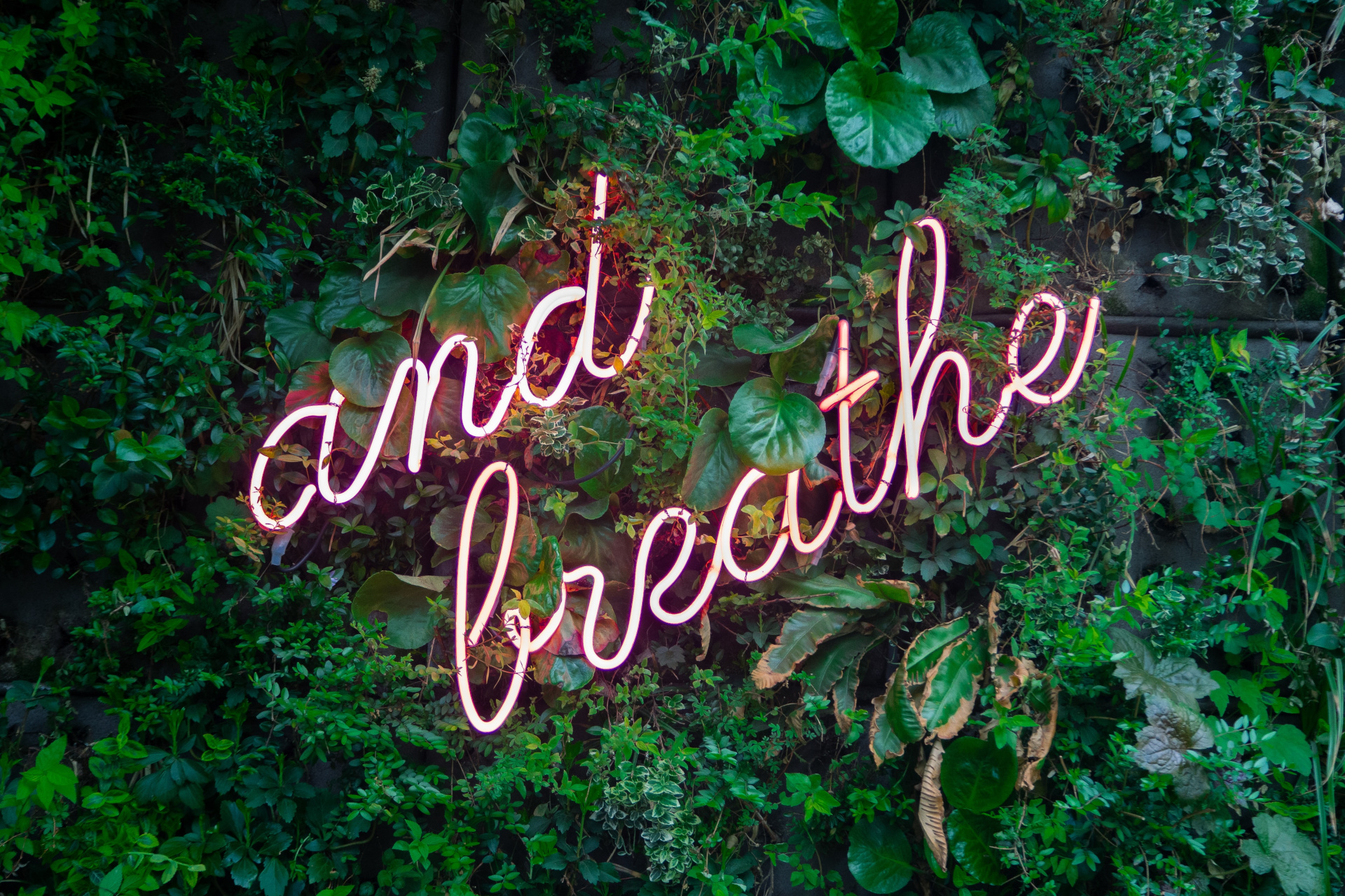 Neon Sign Saying And Breath In A Garden Hedge