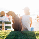 Person And Dog Sitting On A Grass Bank While Looking Over The Ocean On A Sunny Day