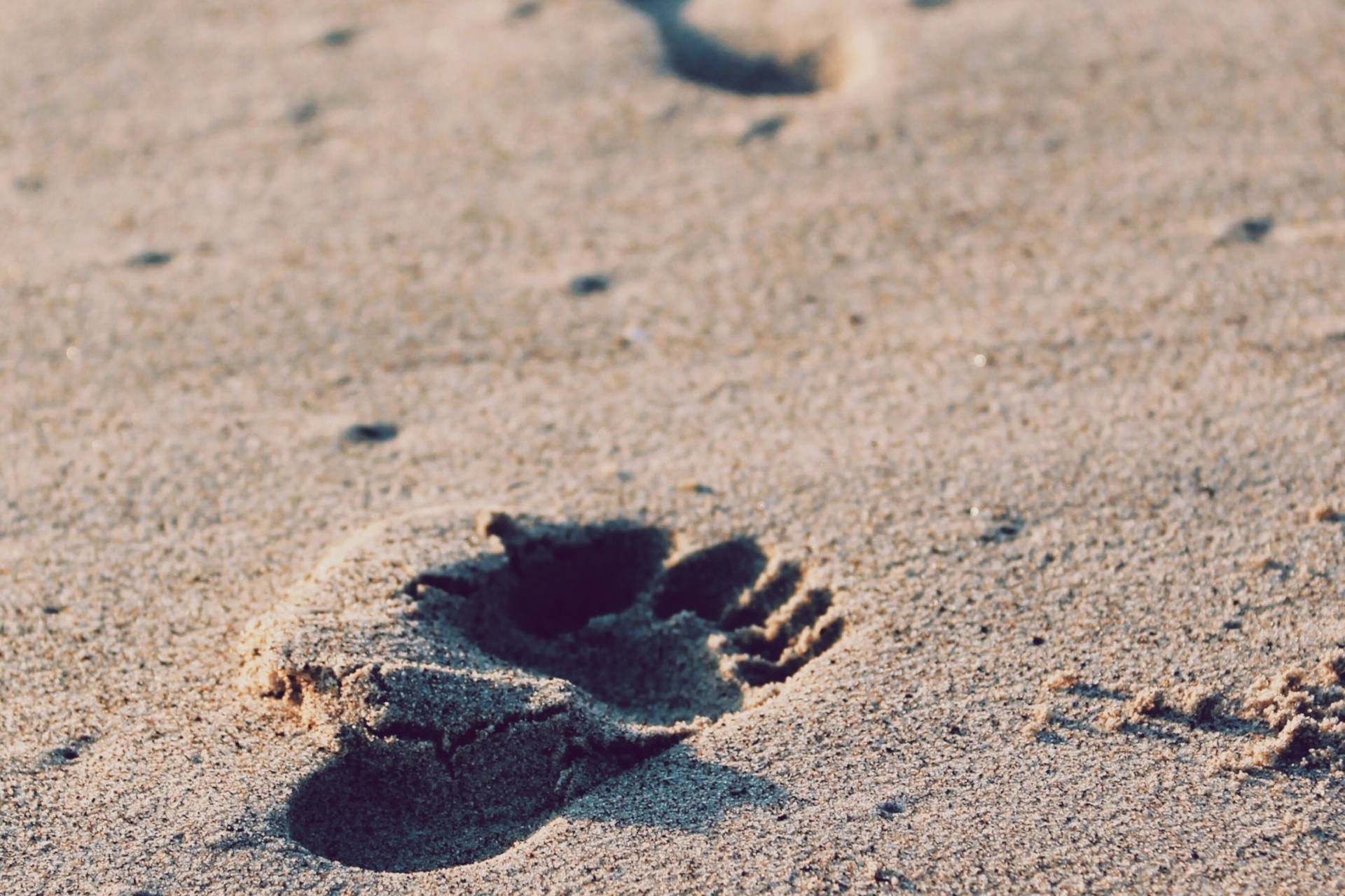 Footprint In Sand